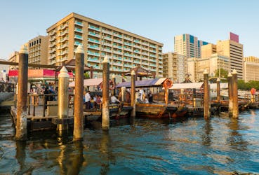 Tour combinado por la ciudad de Dubái y crucero en dhow con cena